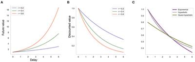 Individual Differences in Intertemporal Choice